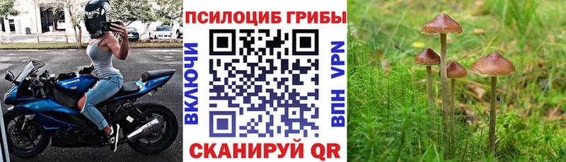 Псилоцибиновые грибы мухоморы Хилок